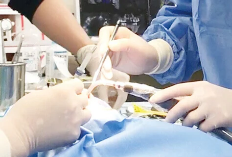 診療補助イメージ